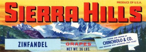 Sierra Hills